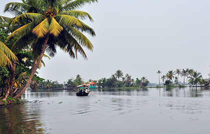 about-alappuzha-backwaters.jpg