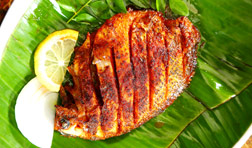 payingguest-alappuzha